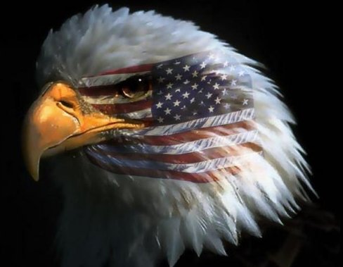 america_eagle.jpg